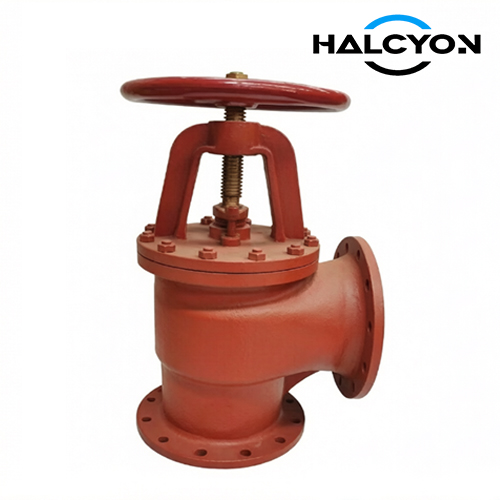 DIN Cast Iron Angle Globe Valve
